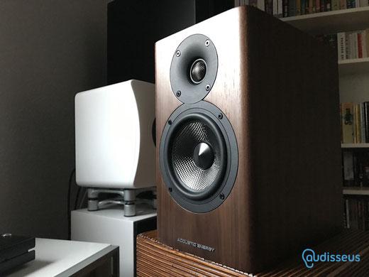 ACOUSTIC ENERGY AE 500 - Referenzklasse