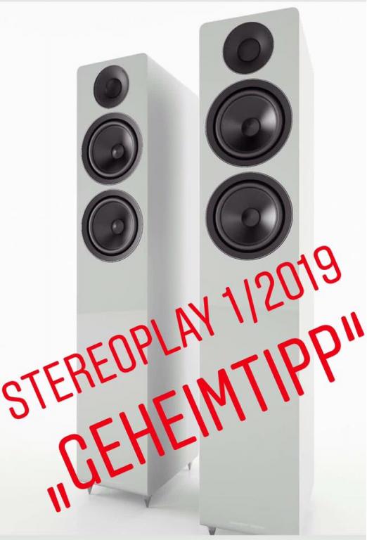 ACOUSTIC ENERGY - Standlautsprecher Geheimtipp ? Mehr als nur ein Geheimtipp bei Standlautsprecher ? Acoustic Energy AE 309 