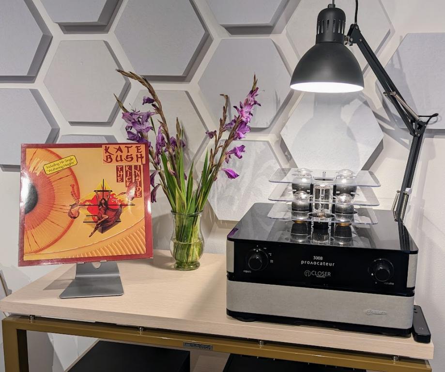 CLOSER Acoustics Provocateur 300B