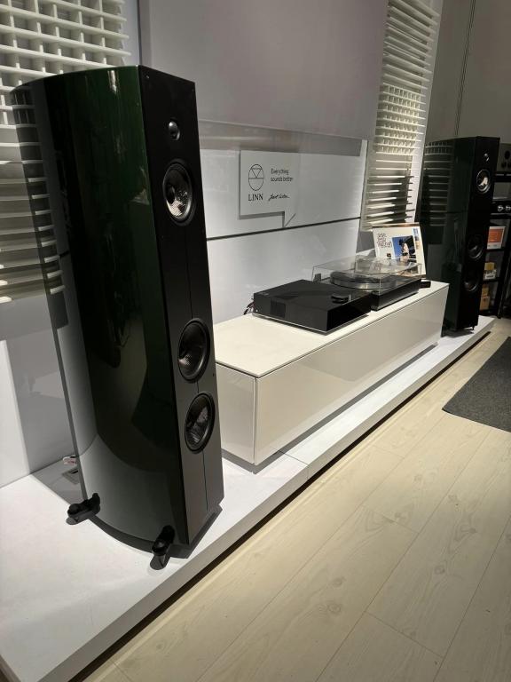 ACOUSTIC ENERGY Corinium mit Linn Linn & Acoustic Energy Corinium Standlautsprecher