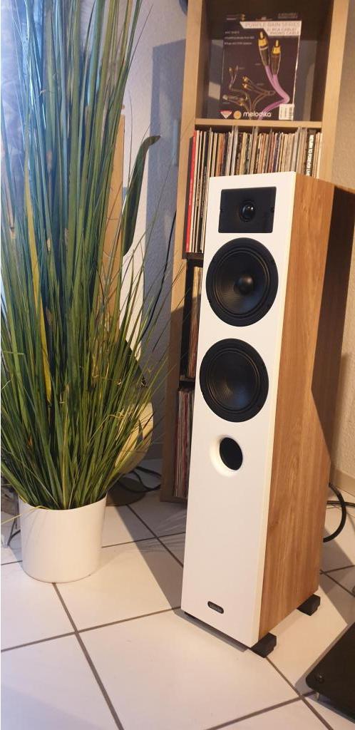 INDIANA LINE - DIVA 5 - Musikalisches Allroundtalent 