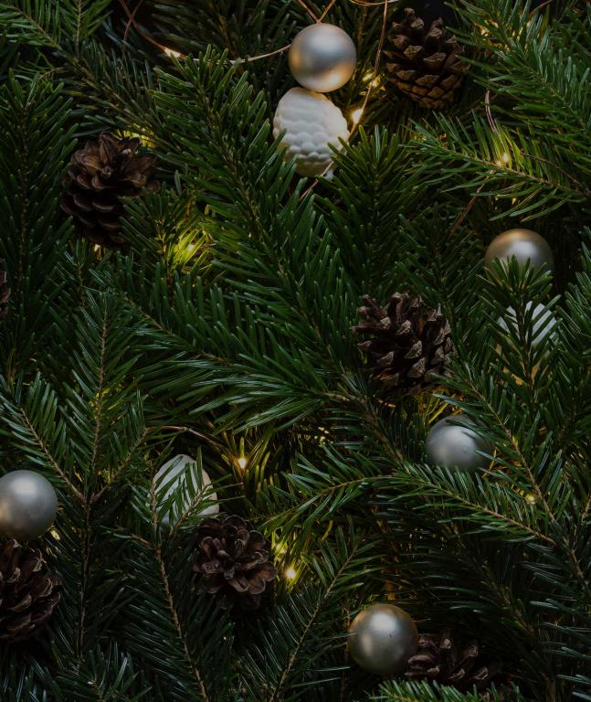 Frohe Weihnachten und schöne Feiertage! 