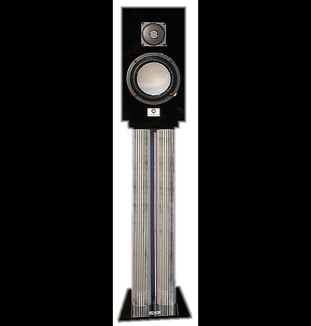 Marten Duke High Gloss