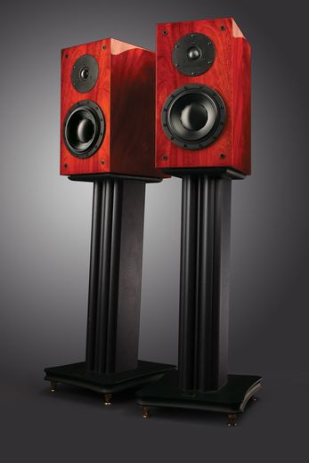 Swans D2.1 - Der Edelmonitor Swans Monitore D2.1