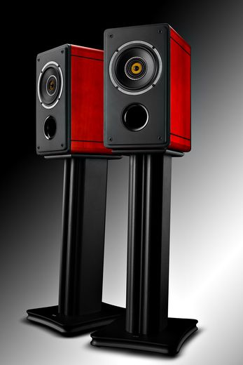 Haben Sie schon mal Triaxial-Lautsprecher gehört? Swans Triaxialsystem TS6