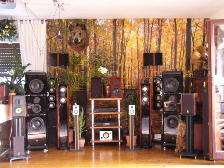 Swans in Berlin - da stehst