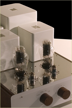 Ocellia Quaero 300B Traum-Verstärker aus Frankreich