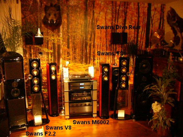 Swans F2.2 in piano-black vorführbereit Swans Kollektion in Berlin