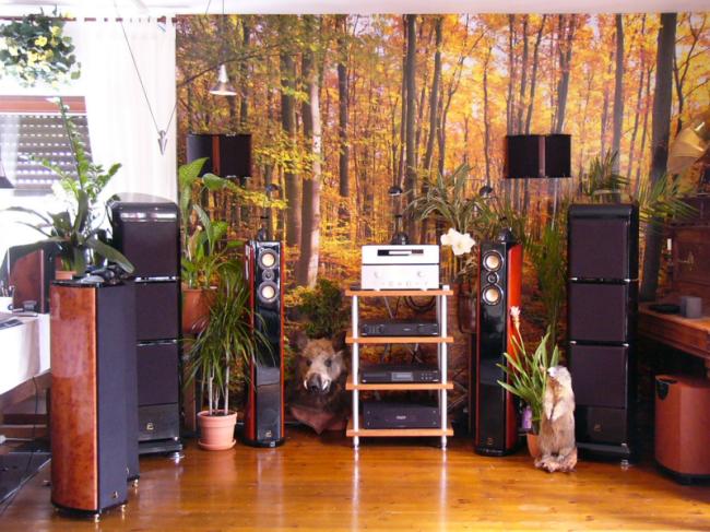 Swans F2.2 - für alle die ein wenig mehr von der Musik haben möchten... Swans Lautsprecher in unserer Vorführung